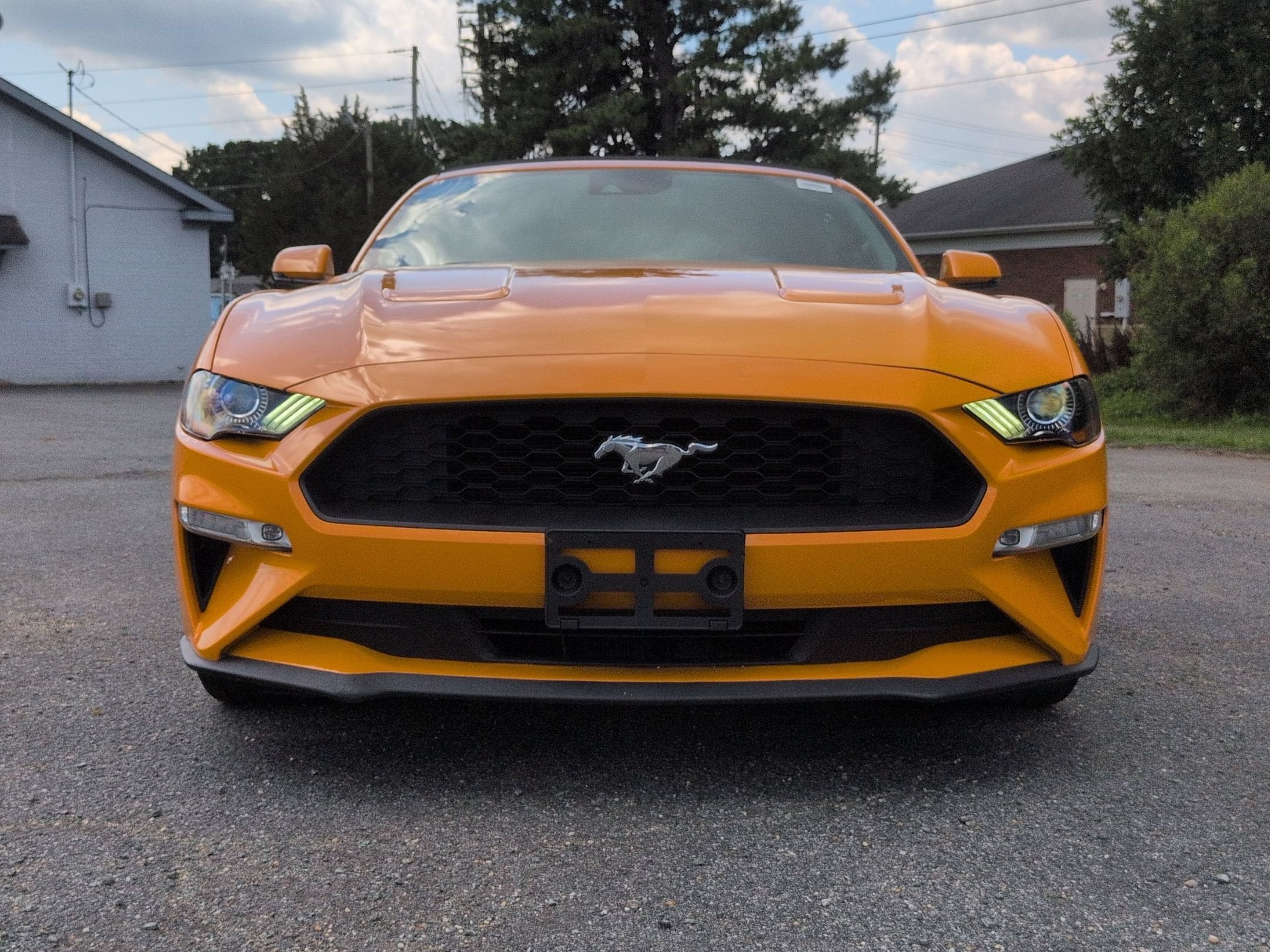 2019 Ford Mustang EcoBoost Premium