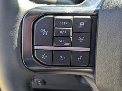 2025 Ford Super Duty F-250 SRW F-250® Platinum®