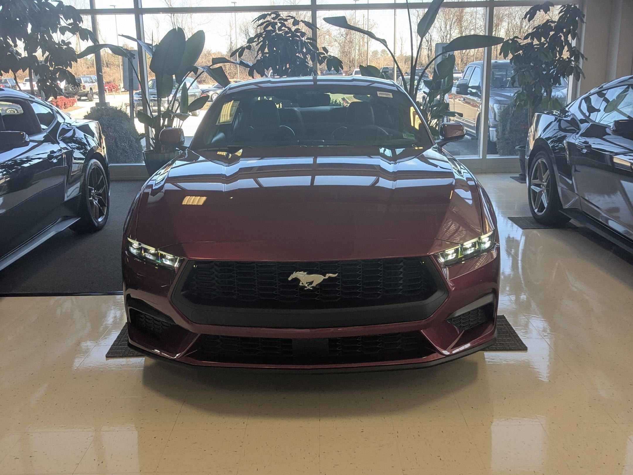 2026 Ford Mustang EcoBoost