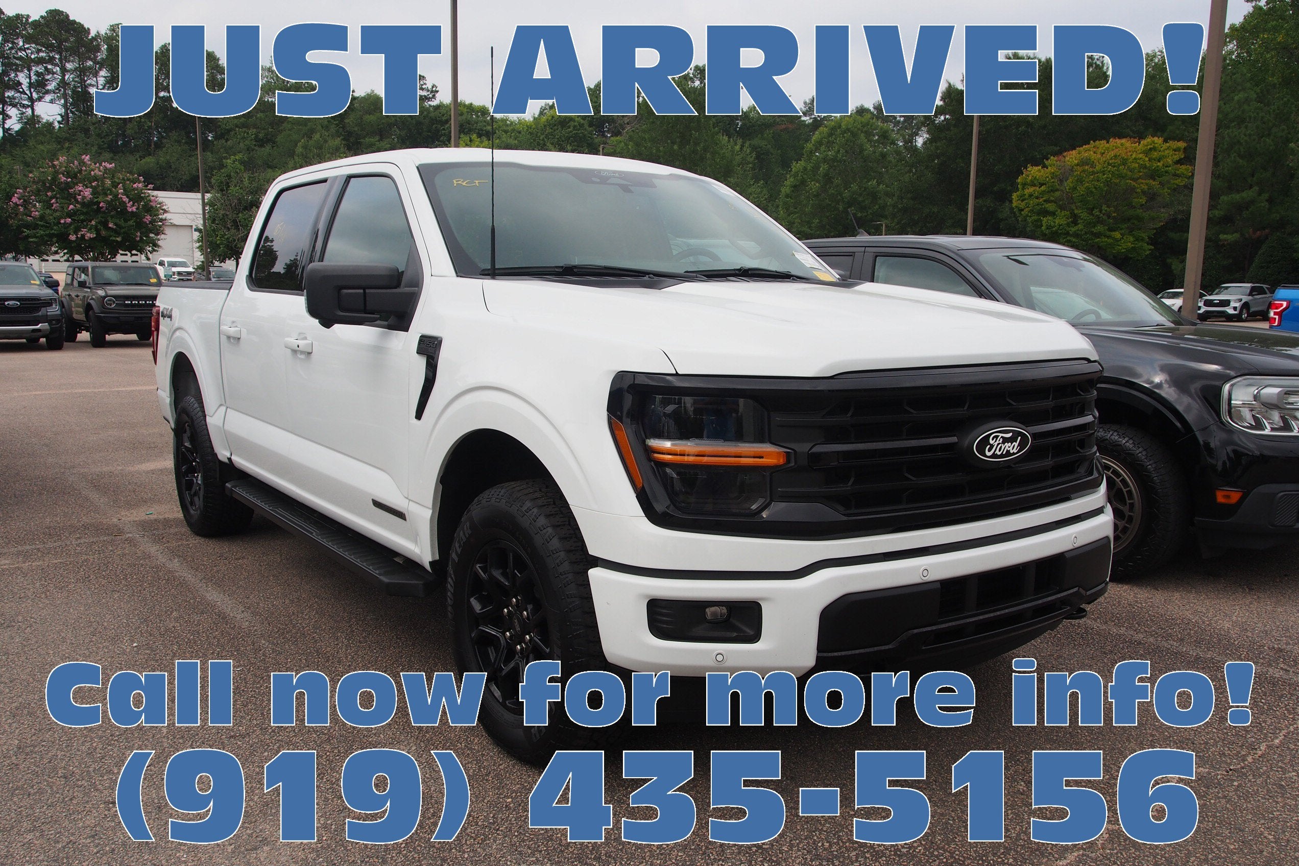 2024 Ford F-150 XLT