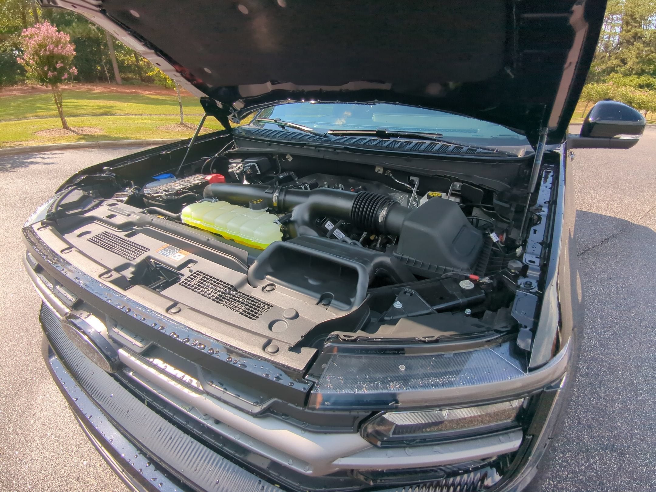 2026 Ford Expedition Tremor