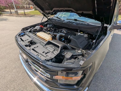 2024 Ford F-150 XLT