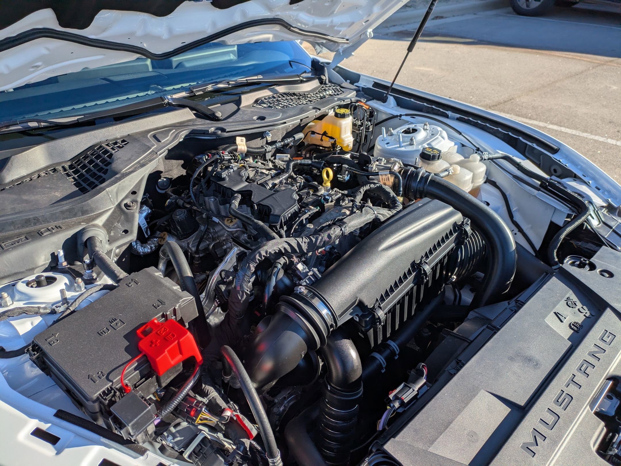 2025 Ford Mustang EcoBoost