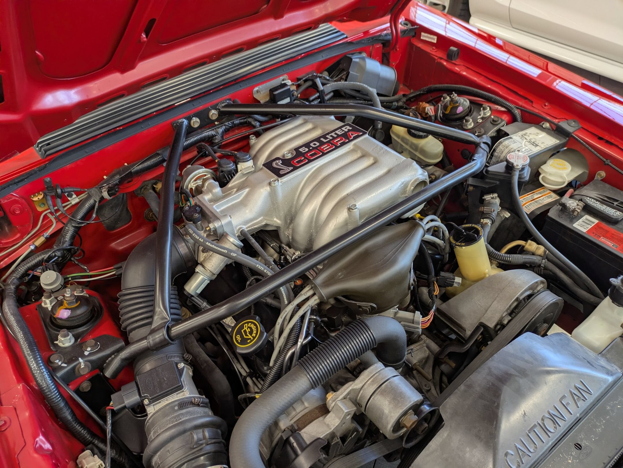 1993 Ford Mustang SVT Cobra R