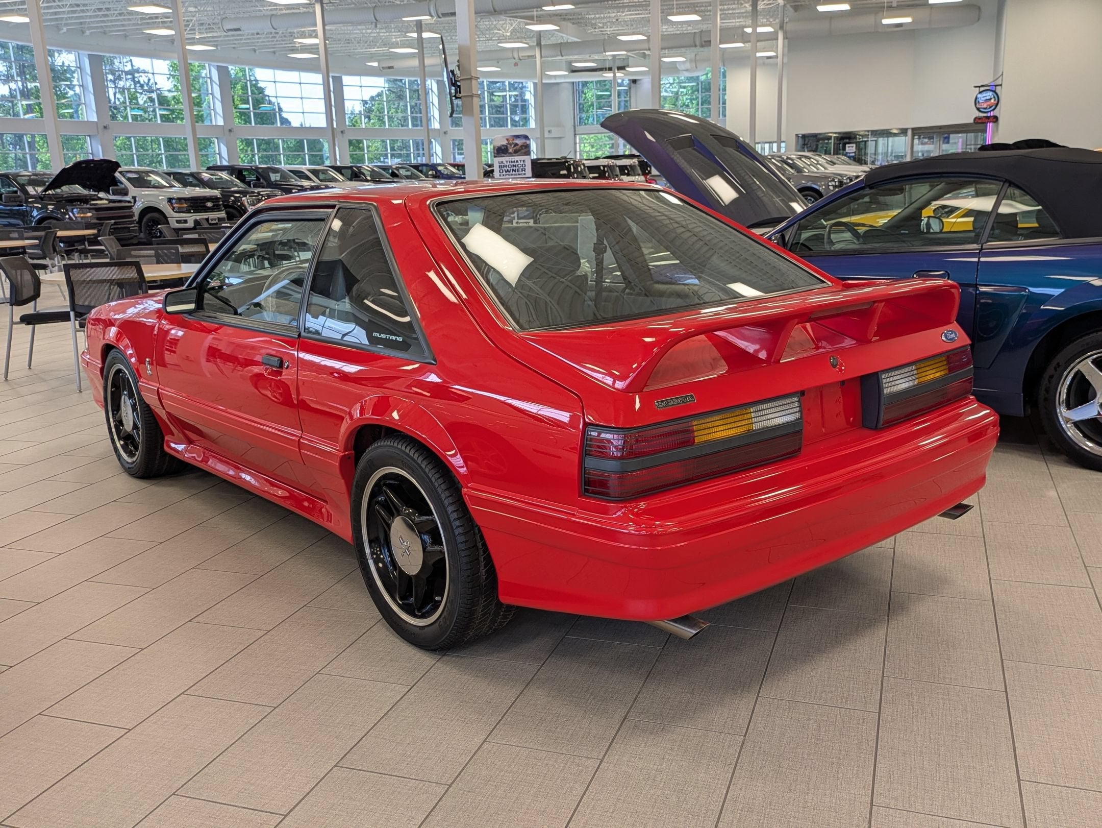 1993 Ford Mustang SVT Cobra R