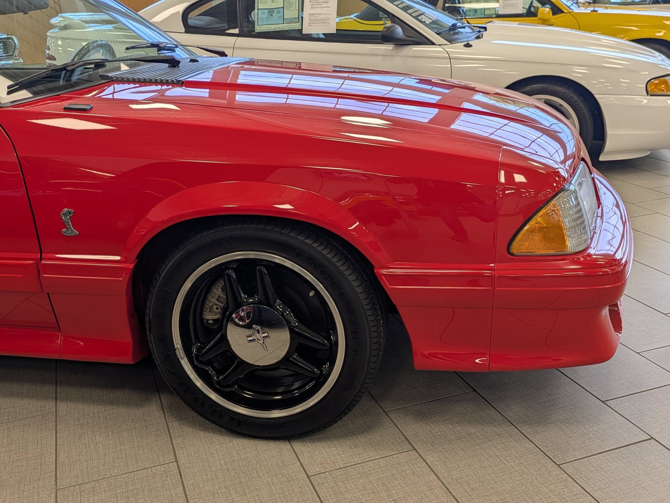 1993 Ford Mustang SVT Cobra R