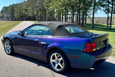 2004 Ford Mustang SVT Cobra