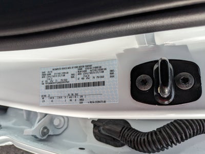 2025 Ford Super Duty F-350 DRW XL