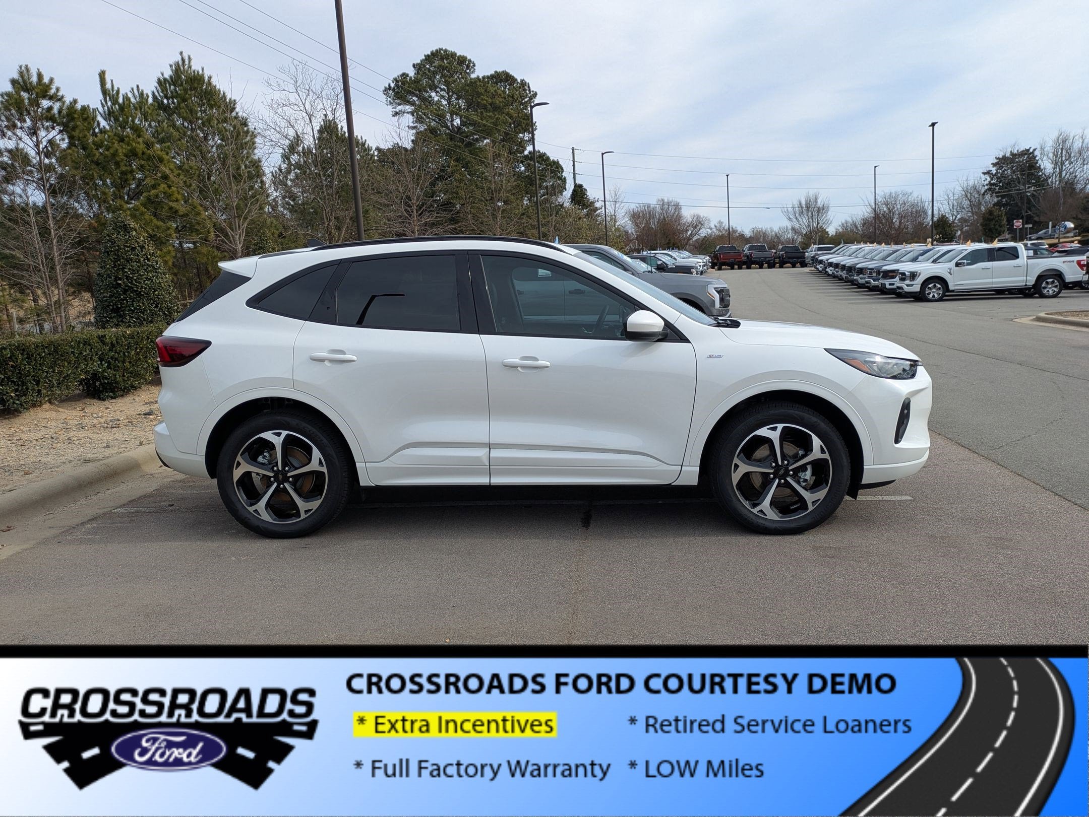 2025 Ford Escape ST-Line Elite - Crossroads Courtesy Demo