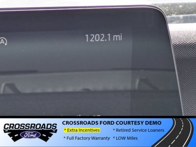 2025 Ford Expedition Max Active - Crossroads Courtesy Demo