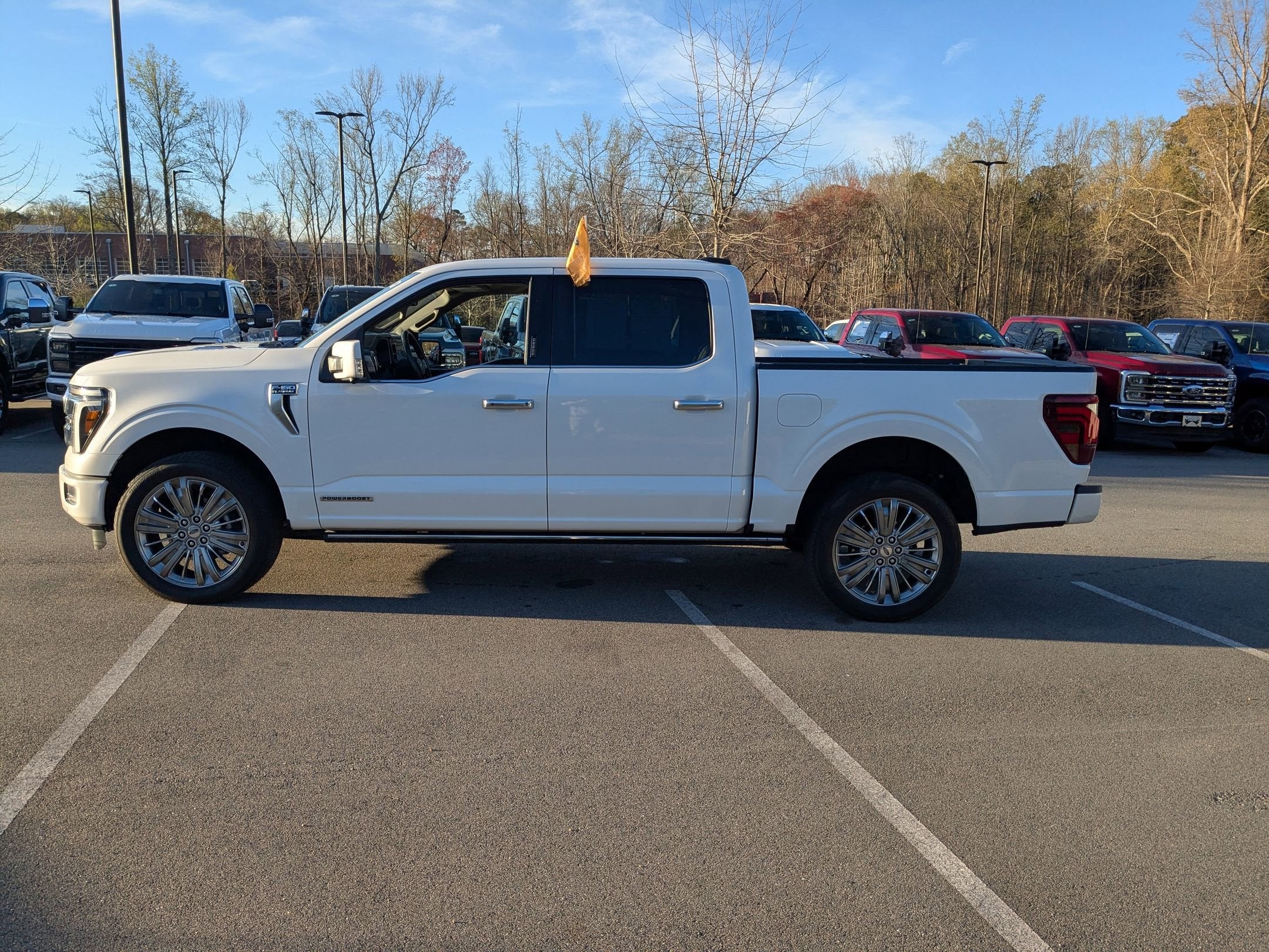 2024 Ford F-150 Platinum