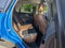 2026 Ford Bronco Sport Outer Banks - Crossroads Courtesy Demo