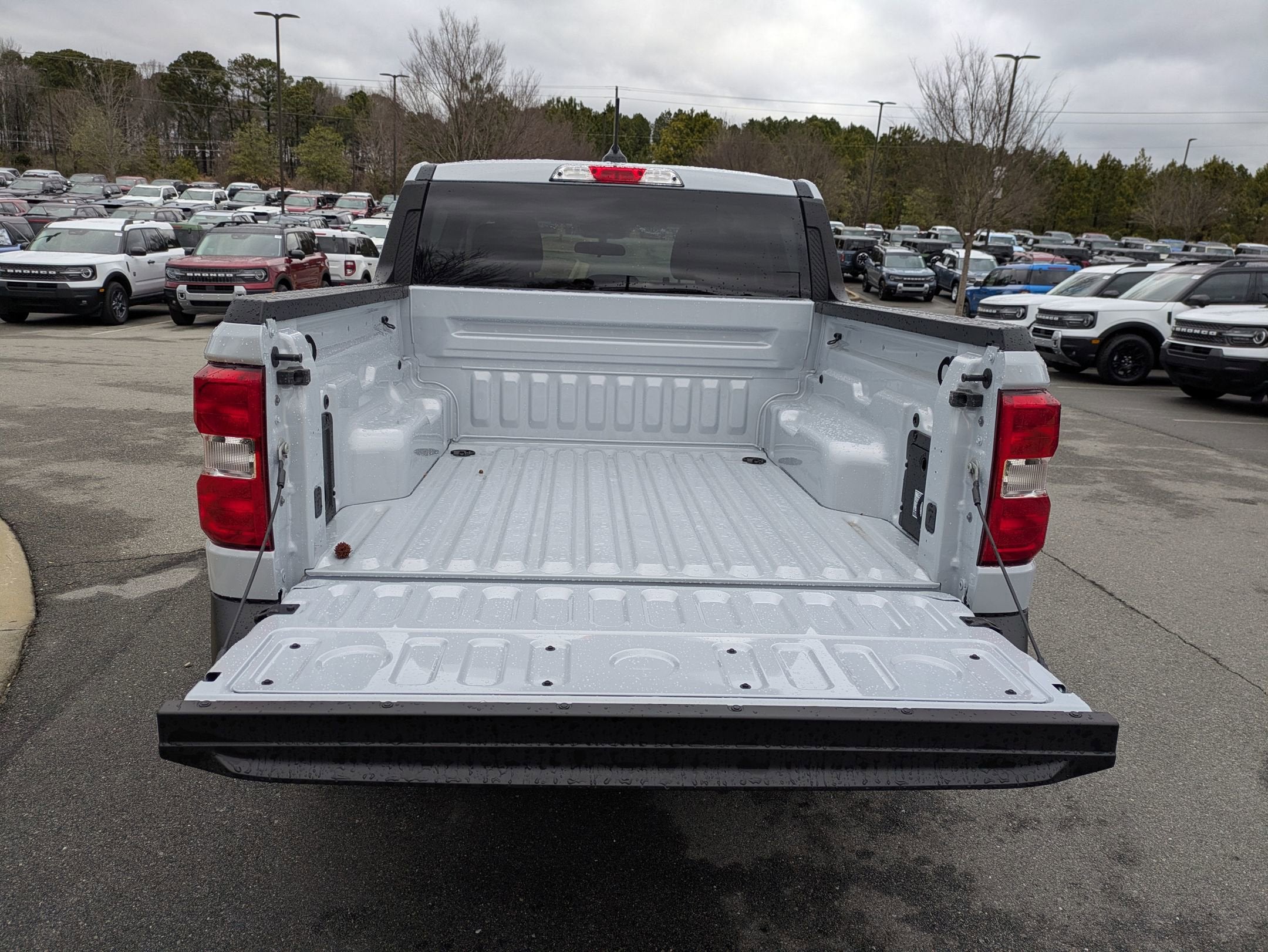 2026 Ford Maverick XLT - Crossroads Courtesy Demo